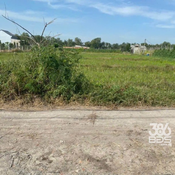 Bán đất thổ cư xã Mỹ Hạnh Bắc , Đức Hòa dt 240m2 giá 1,2 tỷ-3