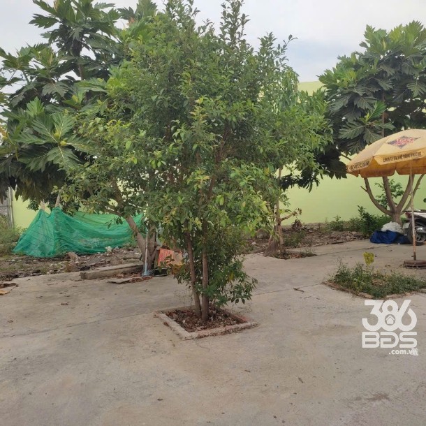 Bán nhà măt tiền Thạnh Đức, Bến Lức tdt 974m2 ( 300m2 thổ ) giá 4,9 tỷ-10