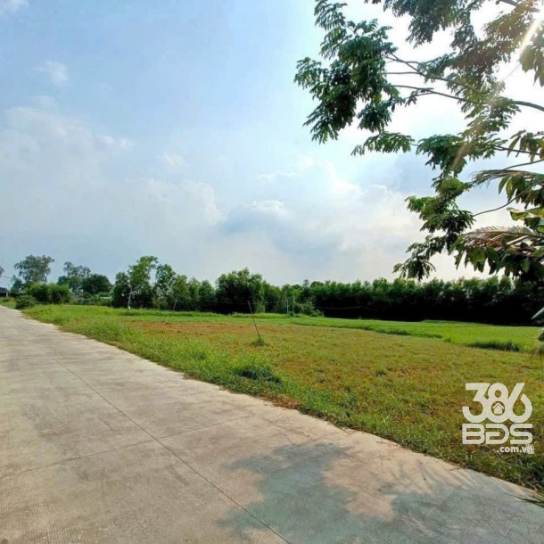 Bán 5 lô đất thổ cư xã Tân Mỹ gần Vingroup giá 2,2 tỷ / lô-2