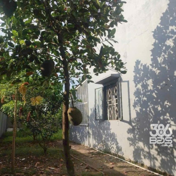 Bán nhà vườn xã Đức Hòa Thượng tdt 380m2 ( dtxd nhà 100m2) , 2pn ,1wc giá 2,6 tỷ-7