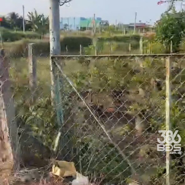 Bán đất mặt tiền Liên Xã Long Hòa- Phước Vân , xã Long Hòa dt 210m2 full thổ giá 2,2 tỷ-2