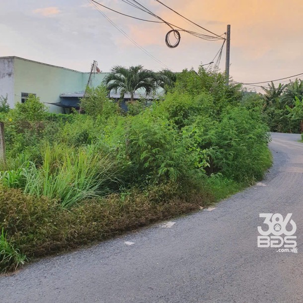 Bán đất thổ cư mt Nguyễn Văn Thậm , xã Phước Hậu dt 106,5m2 giá 1,35 tỷ-3