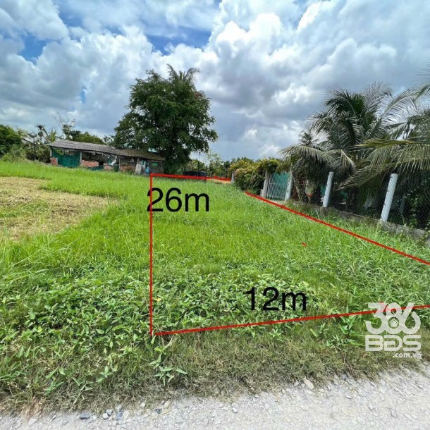 Bán đất thổ cư đường beton 3m thông , xã Đức Tân, Tân Trụ dt 311m2 giá 1,2 tỷ-3