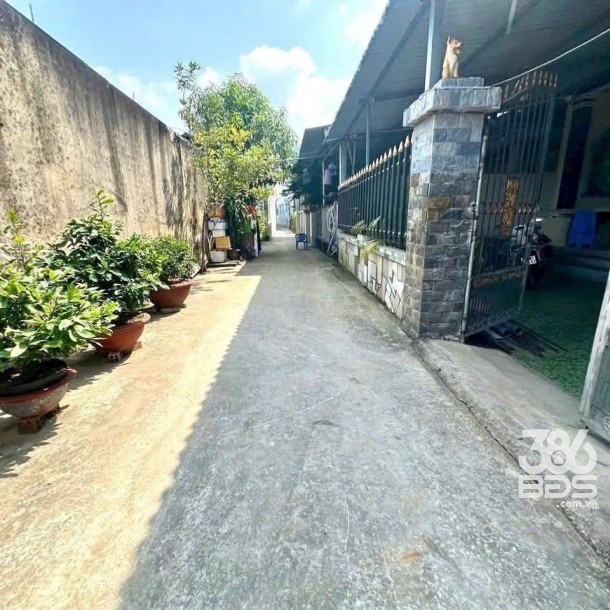 Bán đất thổ cư xã Thanh Phú , Bến Lức dt 144m2 giá 1,85 tỷ-3