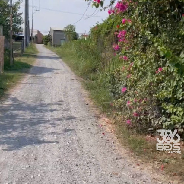 Bán đất xã Tân Mỹ, Đức Hòa dt 385m2 ( có 165m2 thổ ) đường đá xanh 5m giá 1,9 tỷ-1