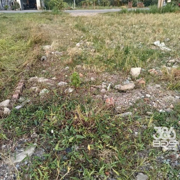 Bán đất đường Phước Toàn , Long Hiệp  dt 453m2 ( 110m2 thổ + 343m2 đất lúa) giá 2,15 tỷ-2