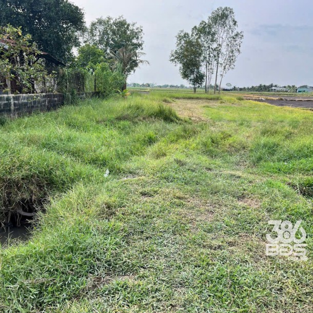 Bán đất thổ cư xã Đức Lập Hạ dt 500m2 đường đá xanh 6m giá 2,3 tỷ-6