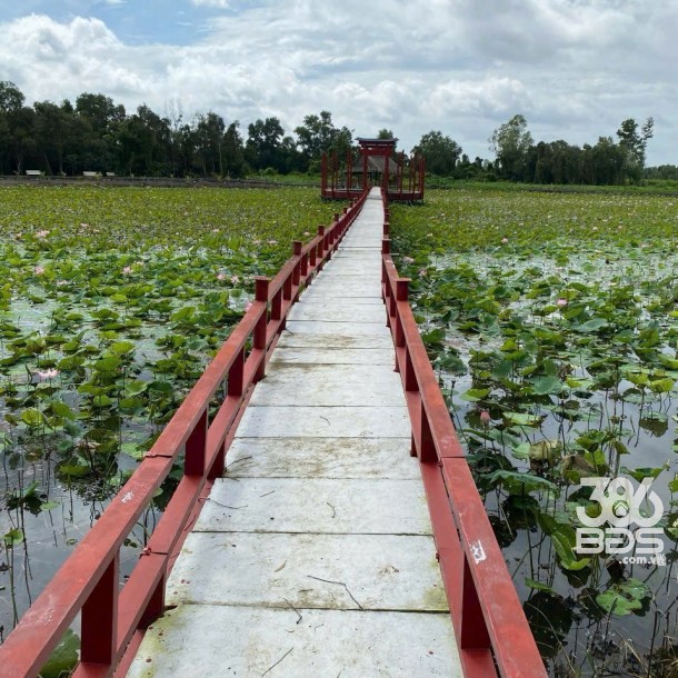 Bán đất vườn / Rạch Láng The , xã Phú Hòa Đông dt 7500m2 giá 7 tỷ-1