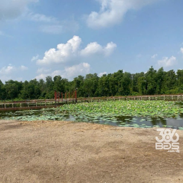 Bán đất vườn / Rạch Láng The , xã Phú Hòa Đông dt 7500m2 giá 7 tỷ-4