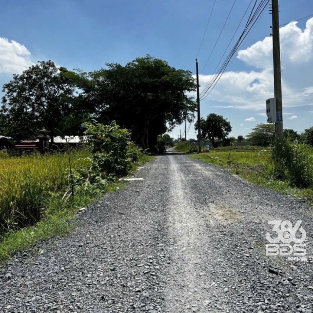 Nhà vườn mini full thổ xã Hòa Khánh Đông tdt 350m2 , 2pn , 2wc giá 2,6 tỷ-7