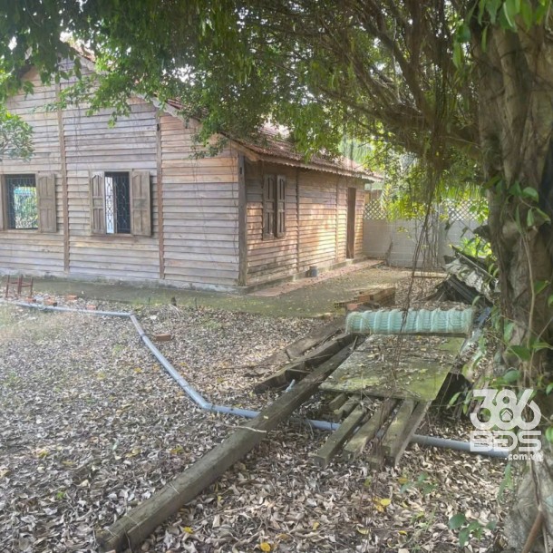 Bán nhà vườn xã Long Cang , Cần Đước tdt hơn 1200m2 đất + vườn gía 3,95 tỷ-5