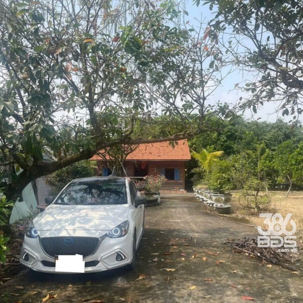 Bán nhà vườn xã Long Cang , Cần Đước tdt hơn 1200m2 đất + vườn gía 3,95 tỷ-11