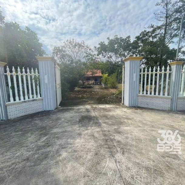 Bán nhà vườn xã Long Cang , Cần Đước tdt hơn 1200m2 đất + vườn gía 3,95 tỷ-12