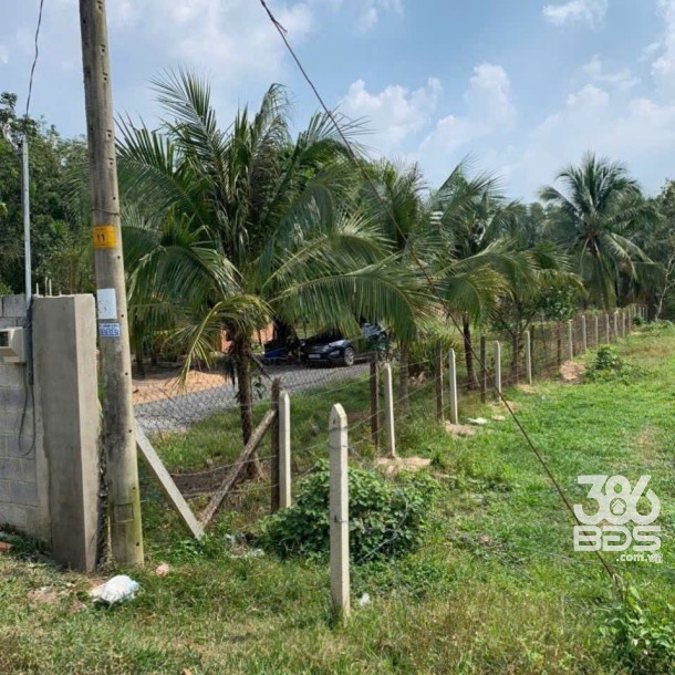 Bán đất mặt tiền Hà Thị Kiểm , xã Phú Mỹ Hưng tdt 1711m2 ( có 500m2 thổ) giá 6,5 tỷ-4