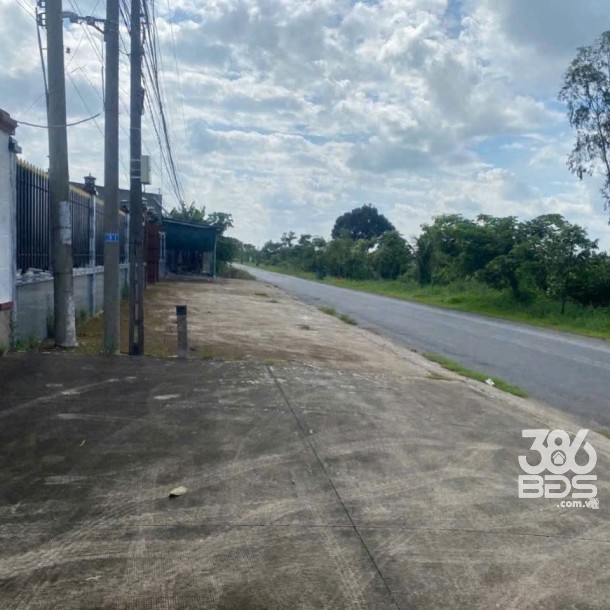 Bán biệt thự đẹp + nhà yến xã Lương Hòa, Bến Lức tdt 2000m2 ( 200m2 thổ) giá 15,95 tỷ-5