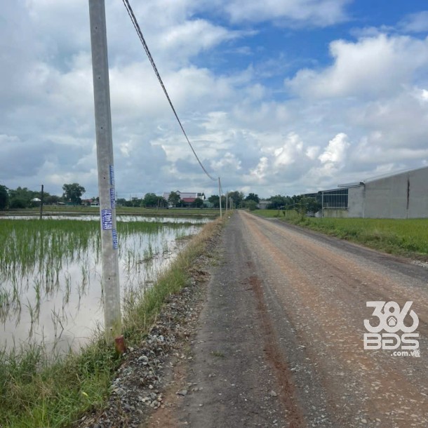 Bán đất thổ cư mặt tiền đường Gò Sao , xã Tân Phú dt 300m2 giá 1,3 tỷ-3