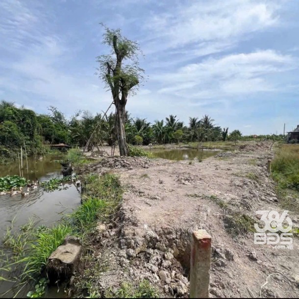 Bán đất thổ cư , đường beton xe 7 chổ , xã Nhựt Chánh , Bến Lức dt 1068m2 giá 3 tỷ-3