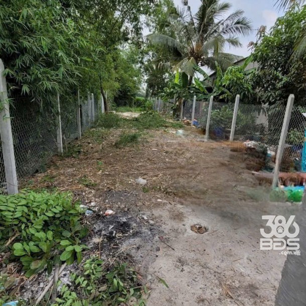 Bán đất thổ cư thị trấn Hậu Nghĩa , Đức Hòa cách tl 825 550m , dt 232,8m2 giá 1,55 tỷ-3