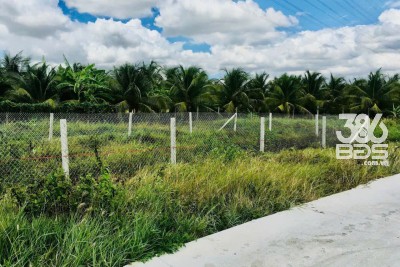 Bán đất thổ cư xã Nhựt Chánh , Bến Lức dt 224m2 , đường beton 3,5m oto giá 1,55 tỷ