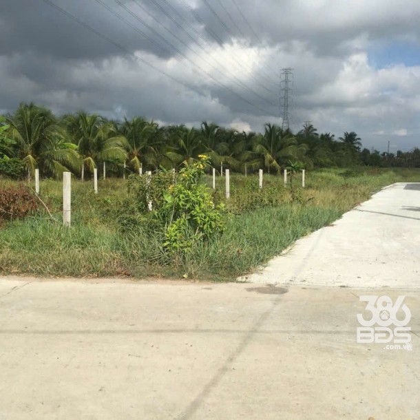 Bán đất thổ cư xã Nhựt Chánh , Bến Lức dt 224m2 , đường beton 3,5m oto giá 1,55 tỷ-2