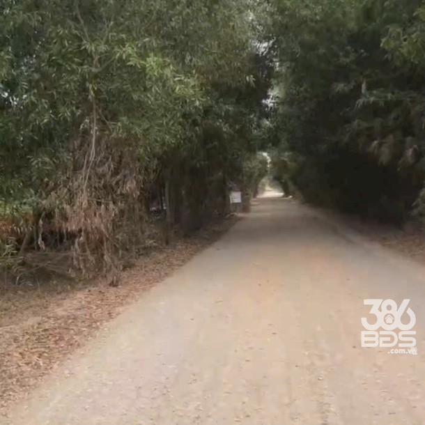 Bán đất lúa mặt tiền tỉnh lộ 820, xã Tân Phú , Đức Hòa giá giảm còn 5,5 tỷ-1