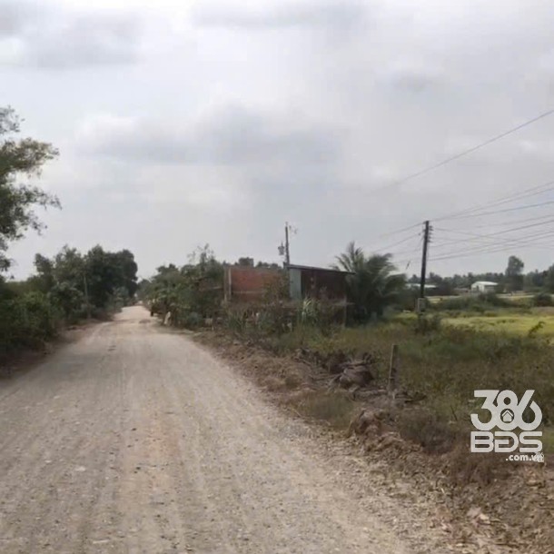 Bán đất lúa mặt tiền tỉnh lộ 820, xã Tân Phú , Đức Hòa giá giảm còn 5,5 tỷ-3