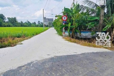 Bán đất thổ cư ấp 8 , xã Nhựt Chánh, Bến Lức dt 980m2 , đường beton xe 7c giá 3,3 tỷ