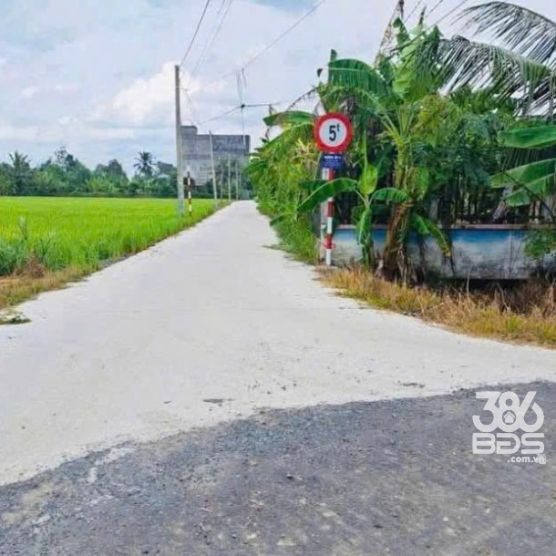 Bán đất thổ cư ấp 8 , xã Nhựt Chánh, Bến Lức dt 980m2 , đường beton xe 7c giá 3,3 tỷ-1