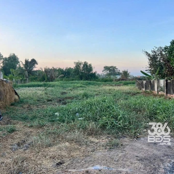 Bán đất thổ cư ấp 8 , xã Nhựt Chánh, Bến Lức dt 980m2 , đường beton xe 7c giá 3,3 tỷ-2