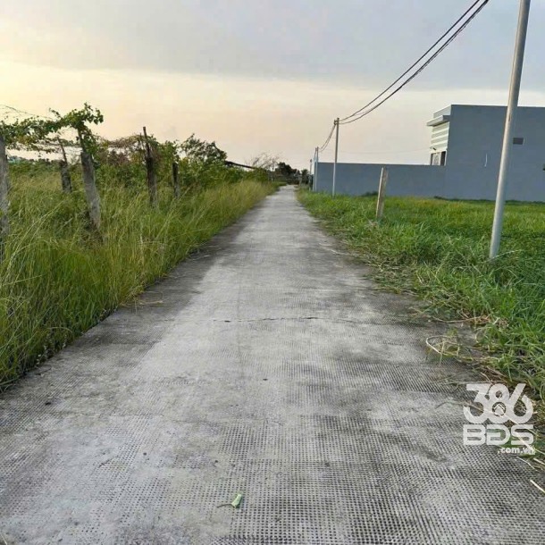 Bán đất xã Lạc Tấn , Tân Trụ tdt 1960m2 ( có 200m2 thổ) đường beton, có tường rào giá 2,2 tỷ-1