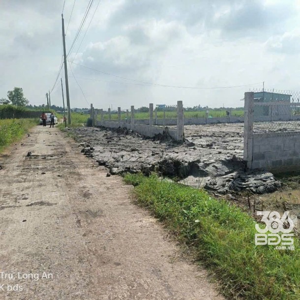 Bán đất xã Lạc Tấn , Tân Trụ tdt 1960m2 ( có 200m2 thổ) đường beton, có tường rào giá 2,2 tỷ-4