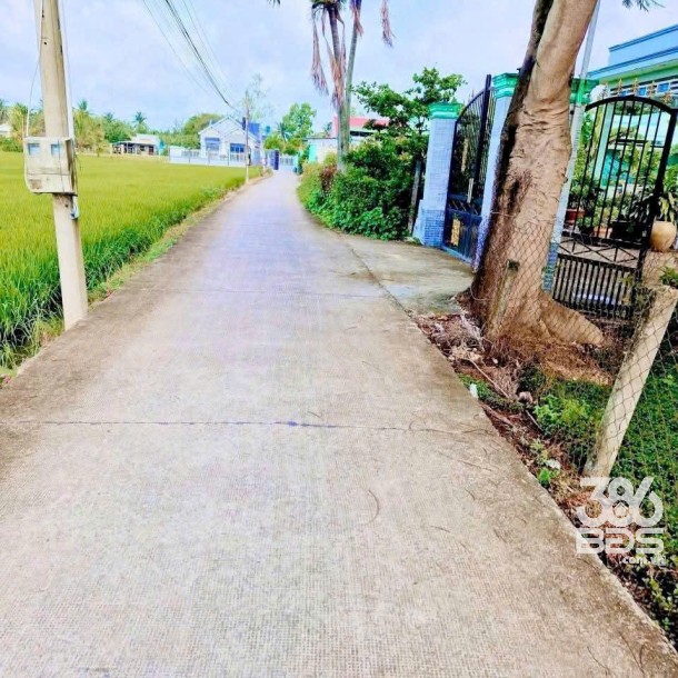 Bán 2 lô đất thổ cư ấp 8, xã Nhựt Chánh, Bến Lức dt 125,8m2 ( 500 triệu ) + 134,2m2 ( 550 triệu)-2