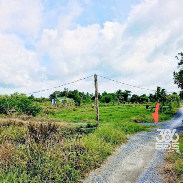 Bán 2 lô đất thổ cư ấp 8, xã Nhựt Chánh, Bến Lức dt 125,8m2 ( 500 triệu ) + 134,2m2 ( 550 triệu)-5