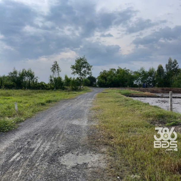 Bán 2 lô thổ cư đường xe oto sau chợ Hòa Khánh Nam, Đức Hòa dt 195m2 giá 800 triệu /1 lô-1