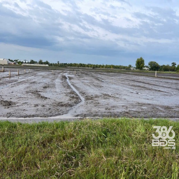 Bán 2 lô thổ cư đường xe oto sau chợ Hòa Khánh Nam, Đức Hòa dt 195m2 giá 800 triệu /1 lô-3