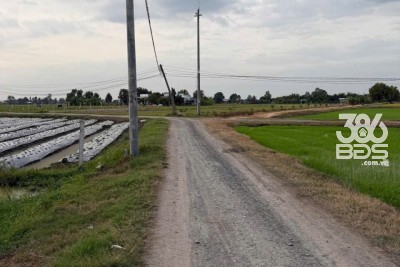 Bán đất thổ cư đường đá xanh ở xã Bình Hòa Bắc , Đức Huệ dt 800m2 giá 1,35 tỷ