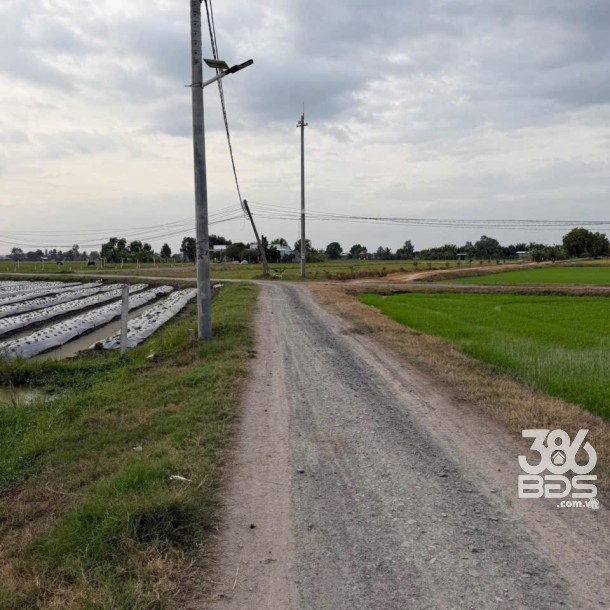 Bán đất thổ cư đường đá xanh ở xã Bình Hòa Bắc , Đức Huệ dt 800m2 giá 1,35 tỷ-1