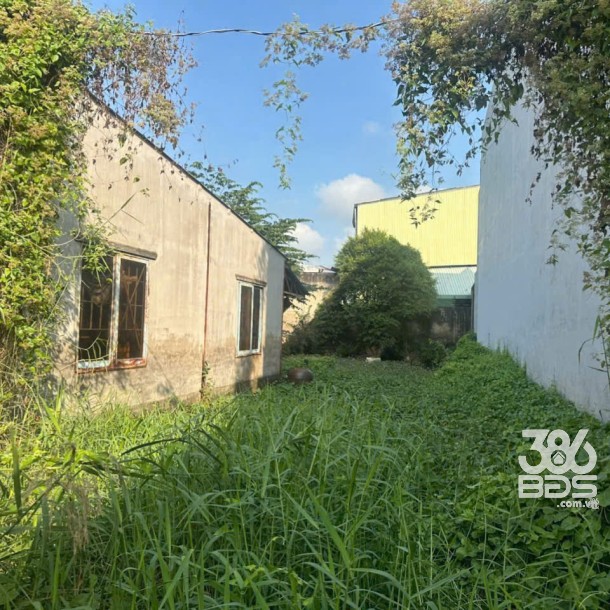 Bán đất xã Long Khê , Cần Đước đường beton xe ba gác dt 550m2 ( có 225m2 thổ) giá 1,99 tỷ-1