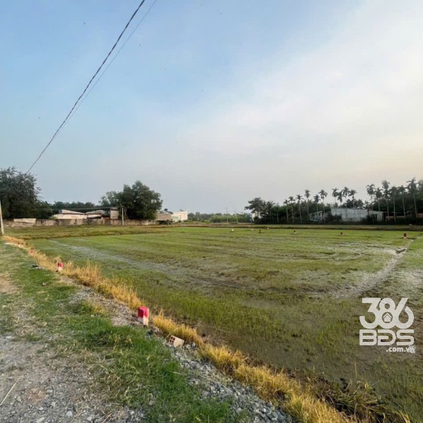 Bán đất thổ cư xã Hòa Khánh Đông , Đức Hòa dt 250m2 giá 1 tỷ 268 triệu-3