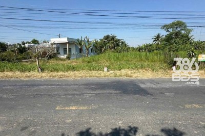 Bán 2 nền thổ cư mt đường Cao Thị Mai , xã Bình Trinh Đông , Tân Trụ ,giá 1,55 tỷ / nền