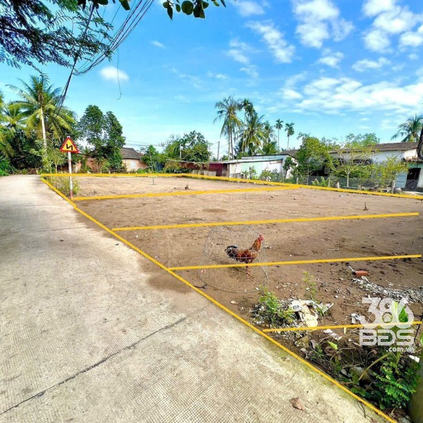 Bán 5 lô thổ cư ở xóm Biền Chợ , xã Long Định , Cần Đước dt 91m2 giá 870 triệu / lô-1