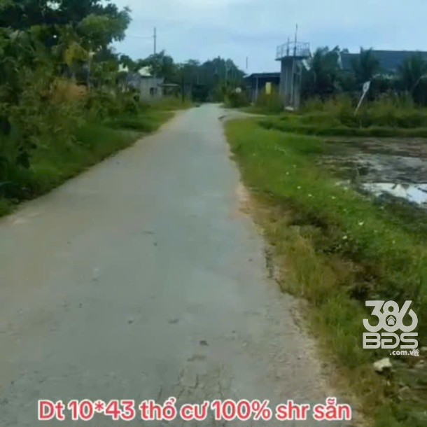 Bán đất thổ cư mt đường Xóm Gò , xã Đức Lập Hạ dt 430m2 giá 2,8 tỷ-3