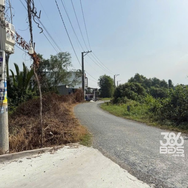 Bán đất vườn xã Tân Bửu , Bến Lức , Long An dt 5000m2 giá 16,5 tỷ-2