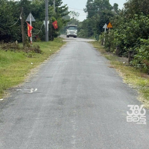 Bán đất vườn xã Tân Bửu , Bến Lức , Long An dt 5000m2 giá 16,5 tỷ-5