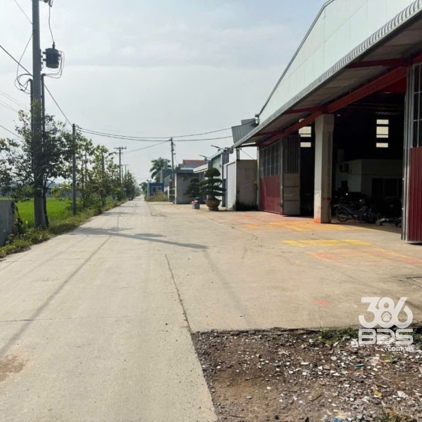 Bán đất vườn xã Tân Bửu , Bến Lức , Long An dt 5000m2 giá 16,5 tỷ-6