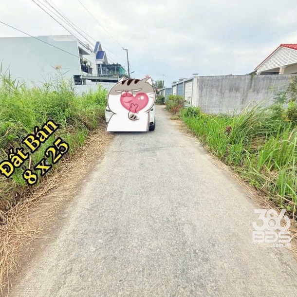 Bán đất thổ cư đường beton 4m  xã Phước Lợi , Bến Lức dt 200m2 hướng đông nam giá 2,1 tỷ-2