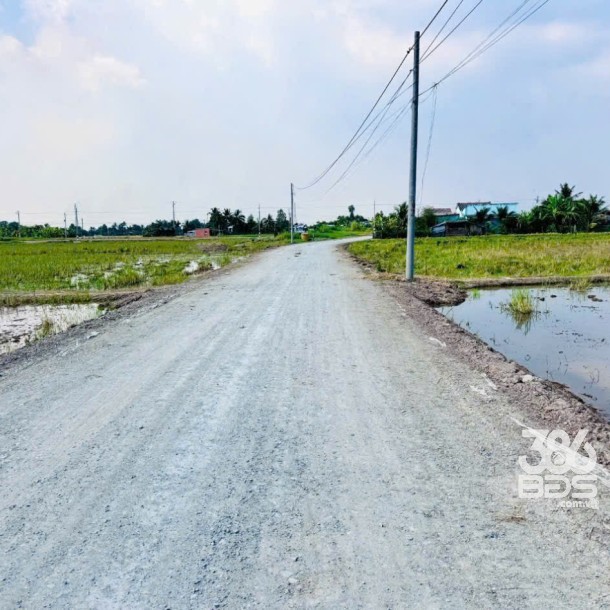 Bán đất thổ cư mt đường beton Trần Văn Lợi , xã Bình Trinh Đông , Tân Trụ dt 150m2 giá 590 triệu-1