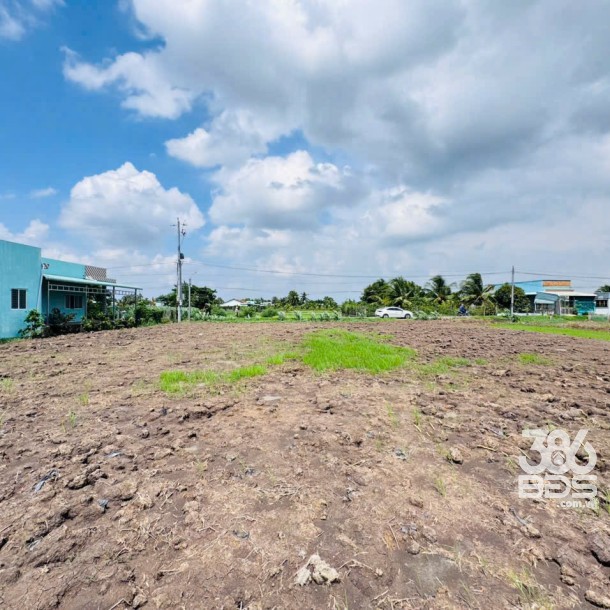 Bán 2 lô thổ cư mt đường Nguyễn Thị Lầu, xã Quê Mỹ Thạnh, Tân Trụ dt 199m2 giá 950 triệu 1 lô-3