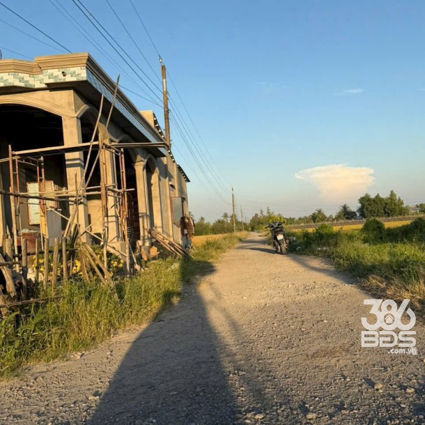 Bán đất lúa vuông vức đường rộng ở xã Mỹ Thạnh Đông , Đức Huệ tdt 1042m2 giá chốt 1,5 tỷ-3