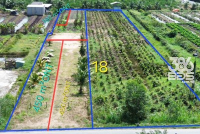 Bán đất mặt tiền tỉnh lộ 818 , xã Tân Thành, huyện Thủ Thừa dt 1926m2 ( có 1080m2 thổ ) giá 7,5 tỷ